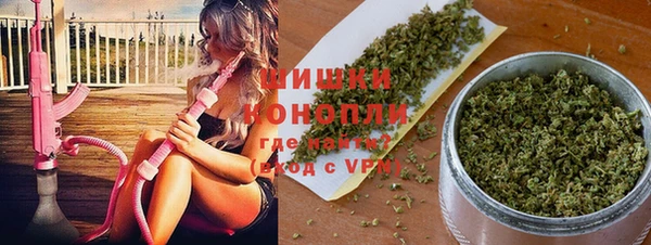 ГАЛЛЮЦИНОГЕННЫЕ ГРИБЫ Протвино