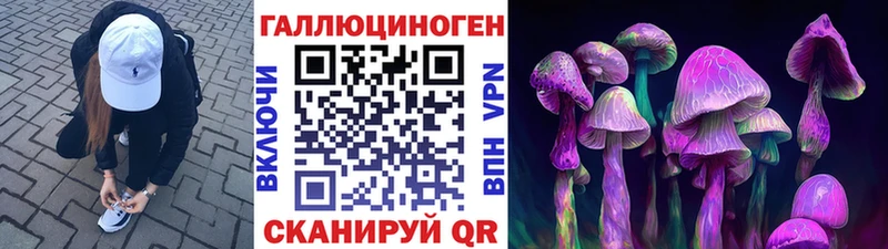 Галлюциногенные грибы ЛСД  МЕГА зеркало  Елизово 